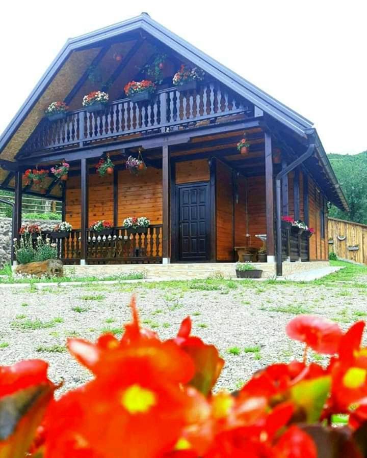Holiday home Brvnara Sofiana Bajina Basta