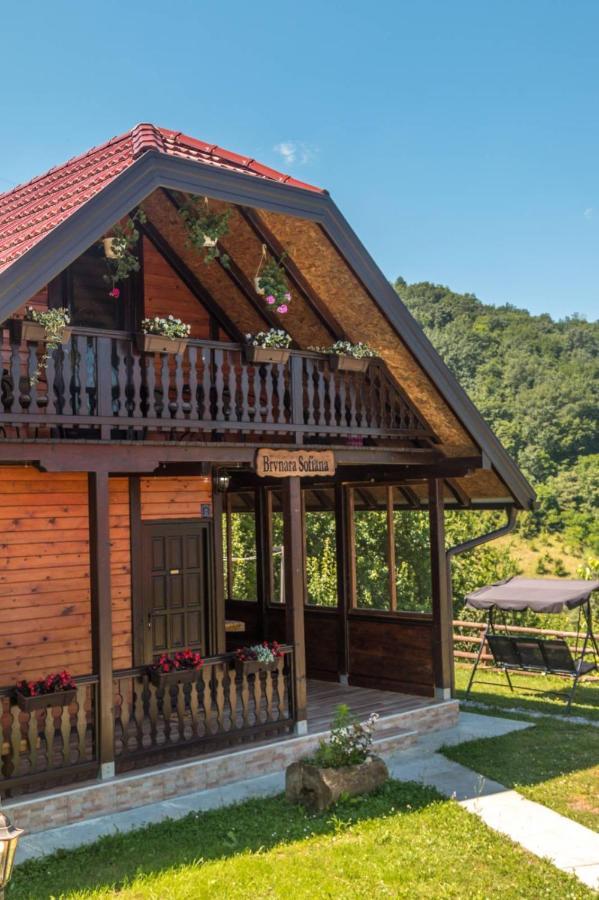 Brvnara Sofiana Holiday home Bajina Basta