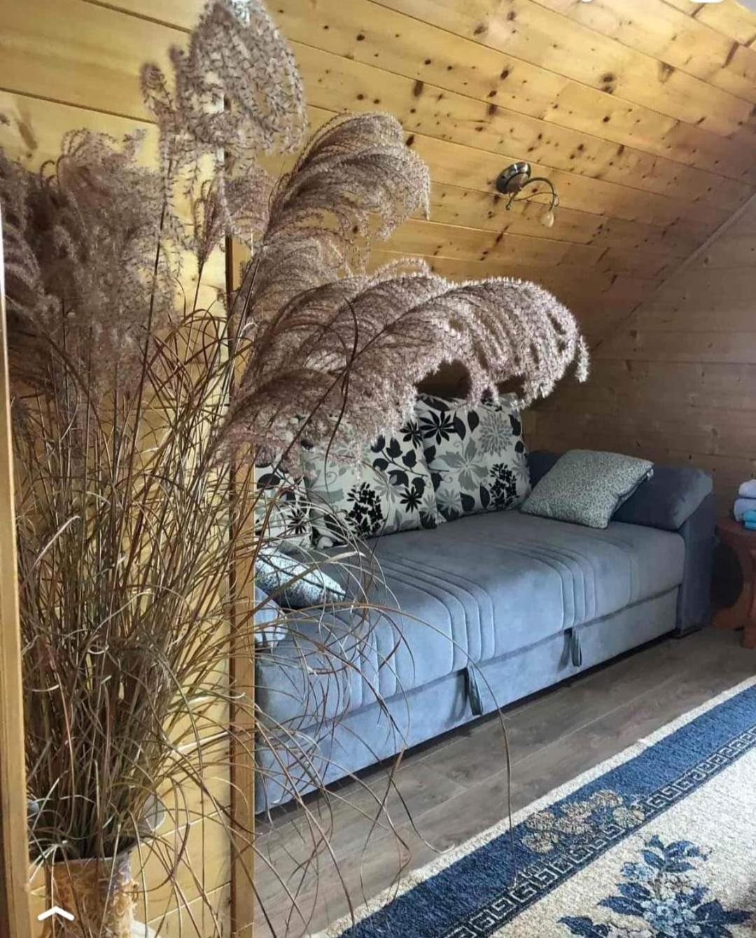 Brvnara Sofiana Holiday home *